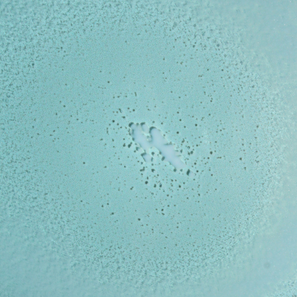 SPF 30 Mineral Fragrance-Free Non-Aerosol Spray