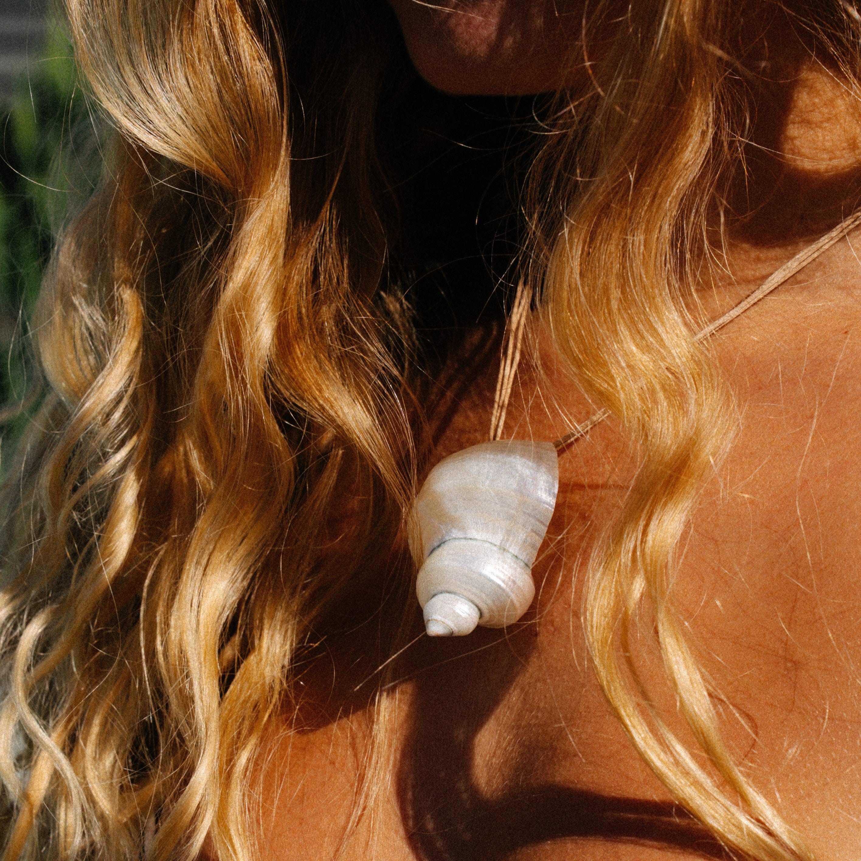 Lucia Shell Necklace