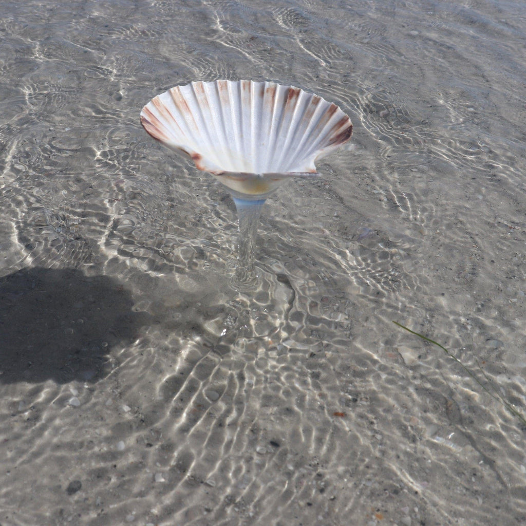Martini Shell Glass