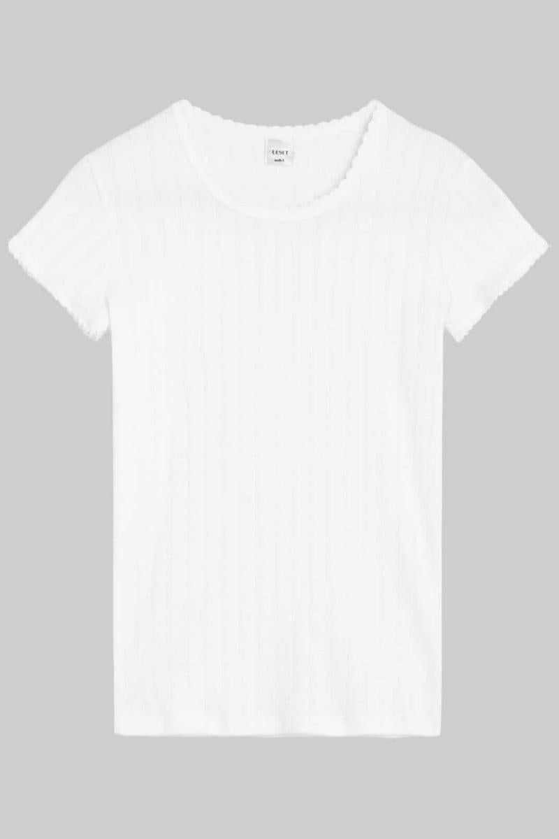 Pointelle Slim Fit Tee (White)