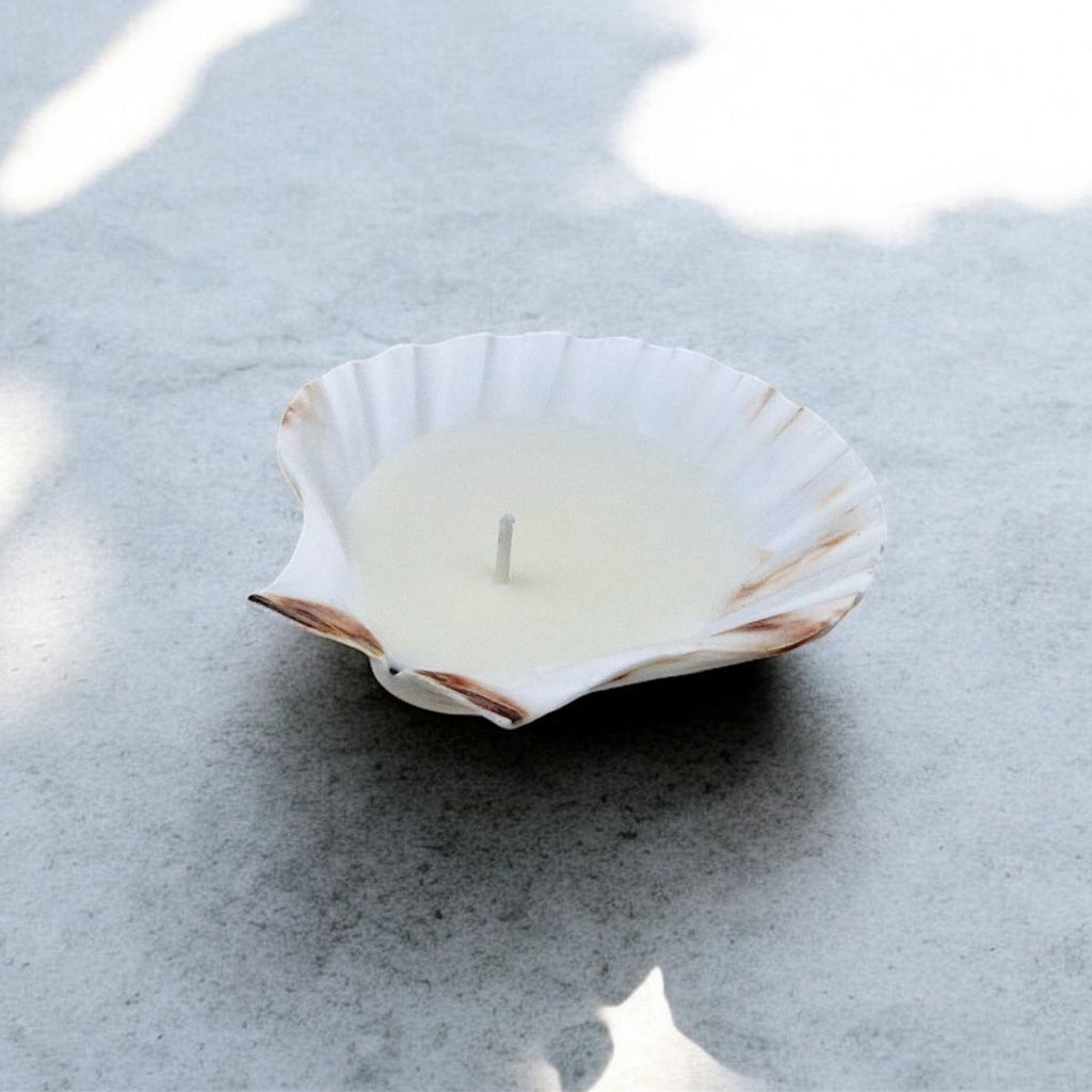 Scallop Shell Candle (Set of 4)