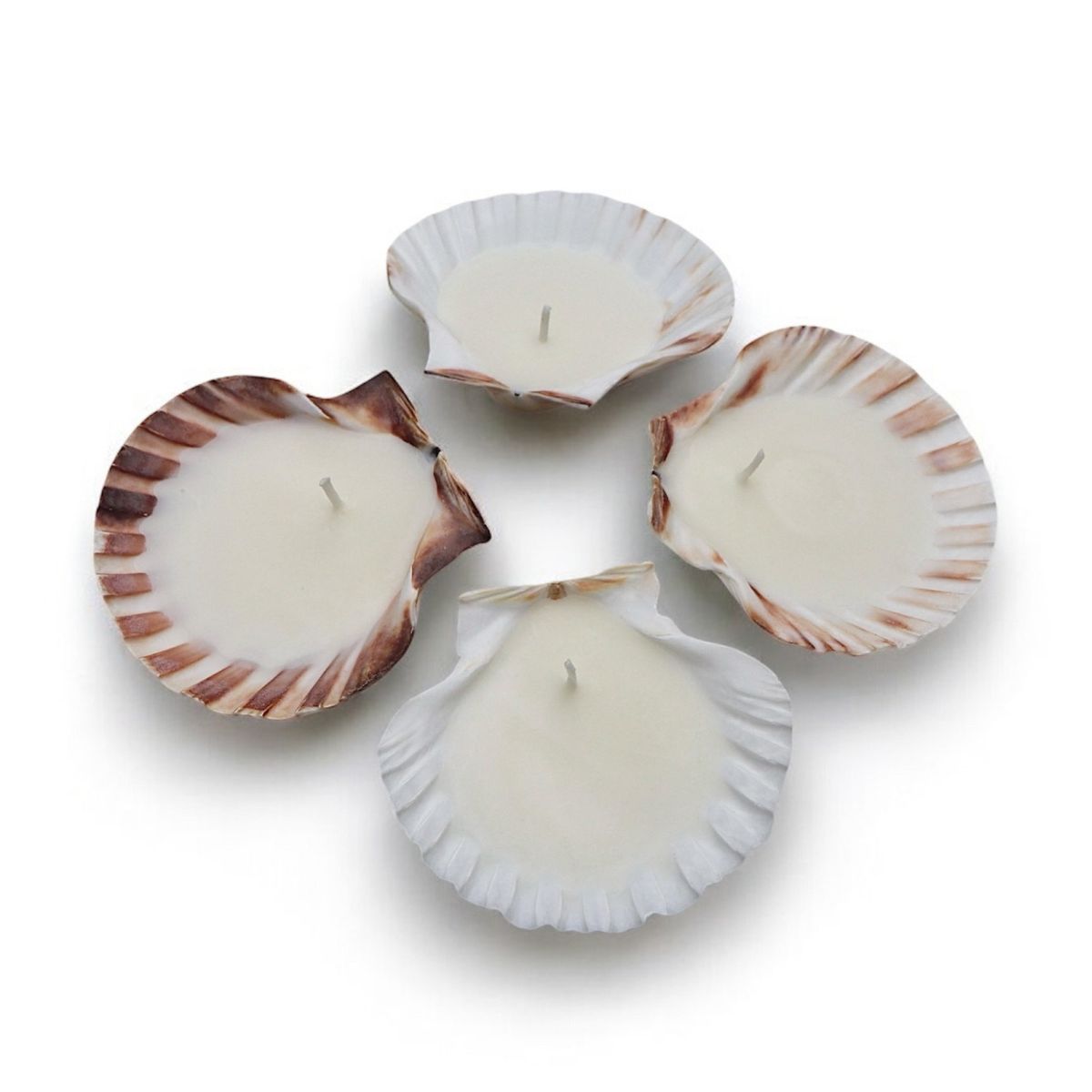 Scallop Shell Candle (Set of 4)