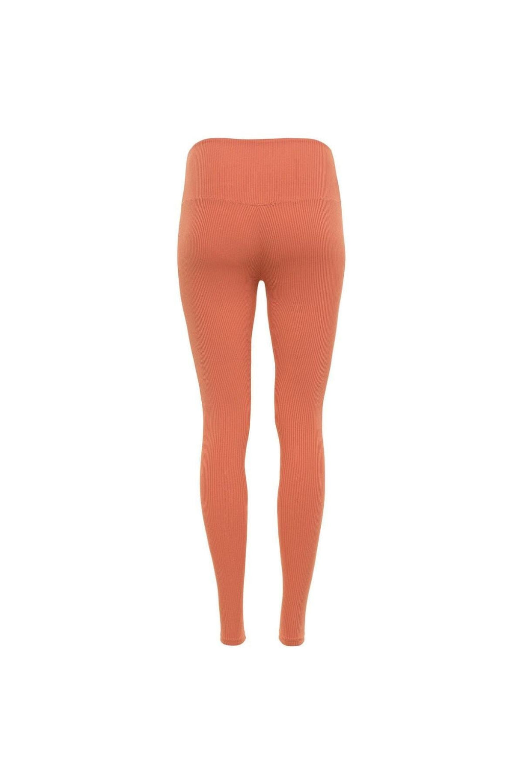 Coral Rib Wide Band Legging