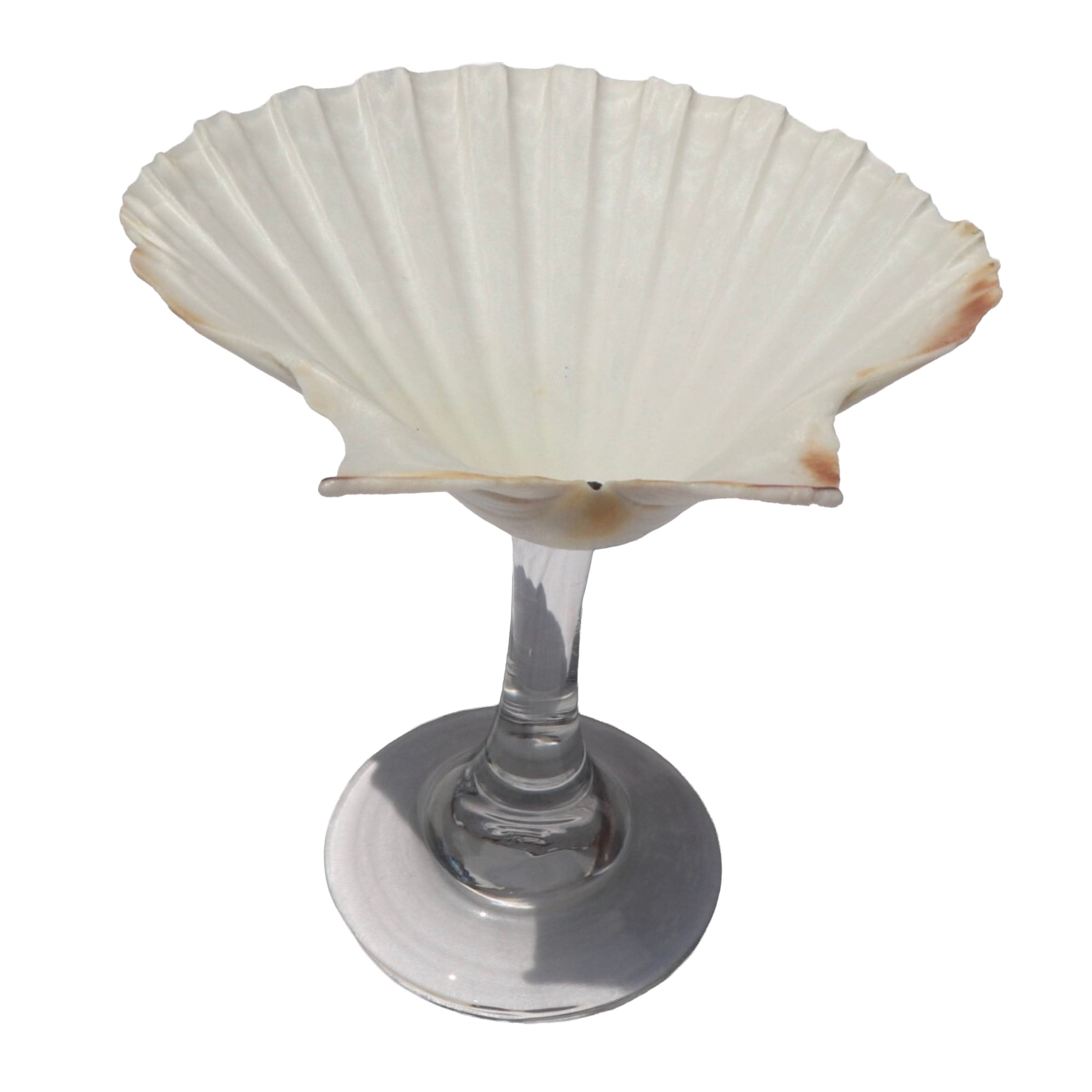 Martini Shell Glass