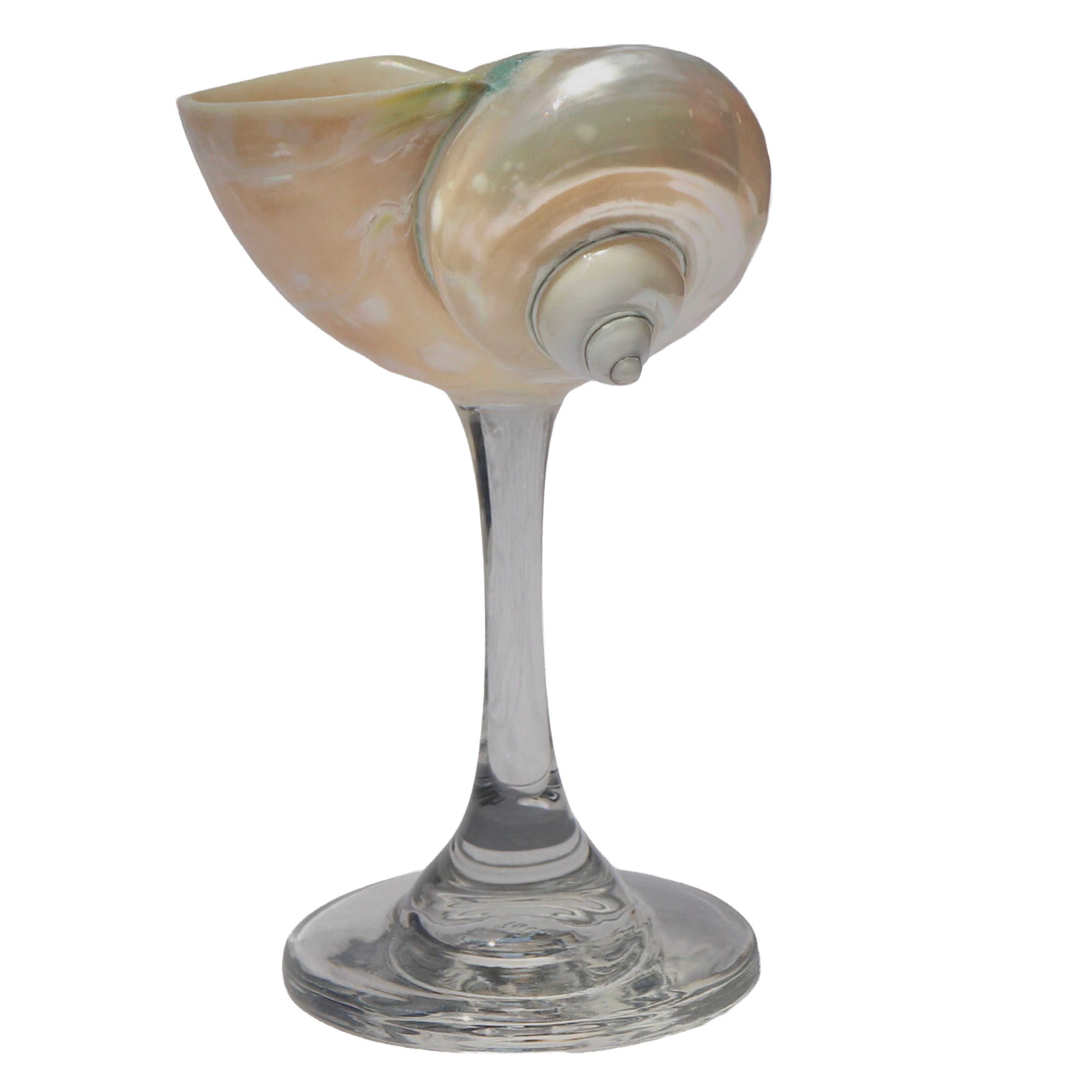 Pearl Jade Shell Glass